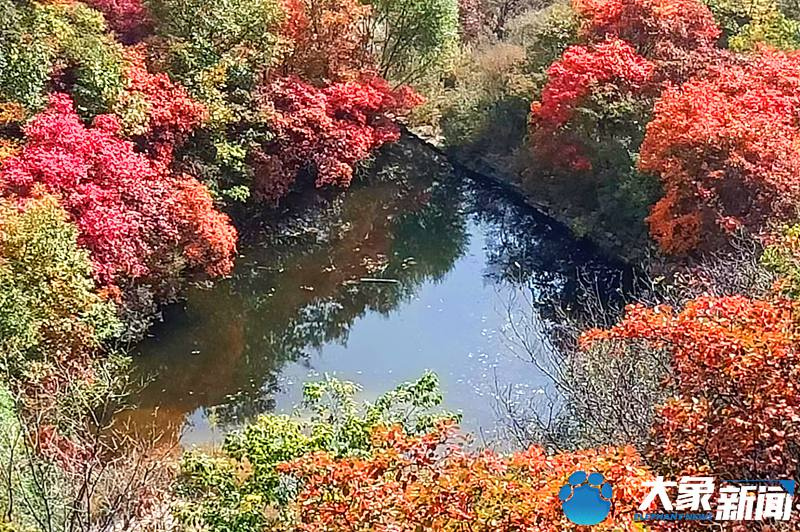 【行走河南·读懂中国】<br>嵩山：漫山红叶正当时 屏赏万里醉人秋色