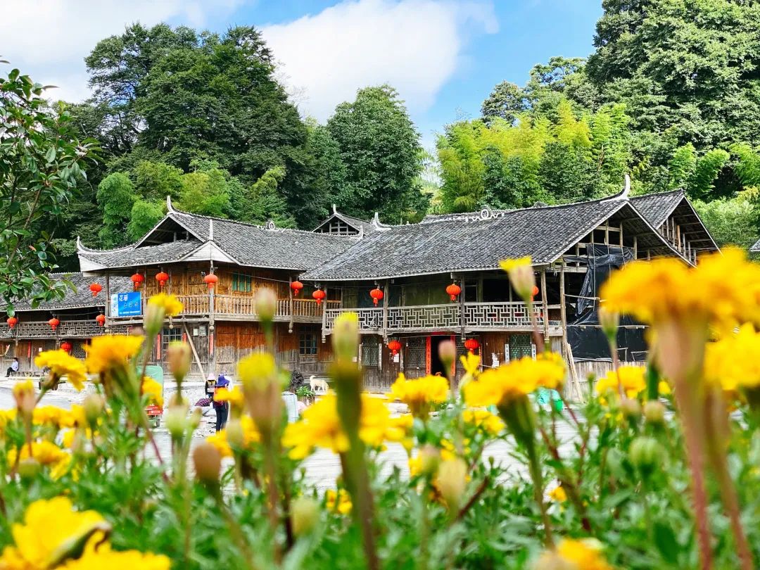 “网红”城市的流量密码 藏在这三个问号里
