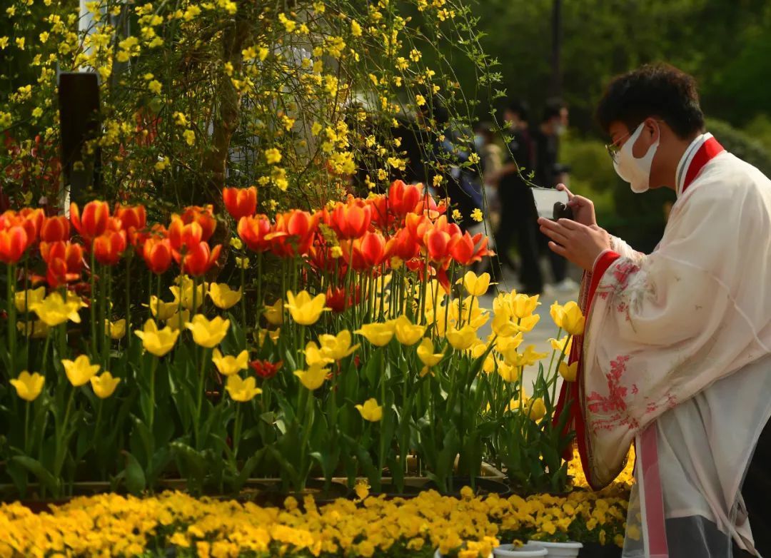 【行走河南·读懂中国】“云”赏郑州春日花海