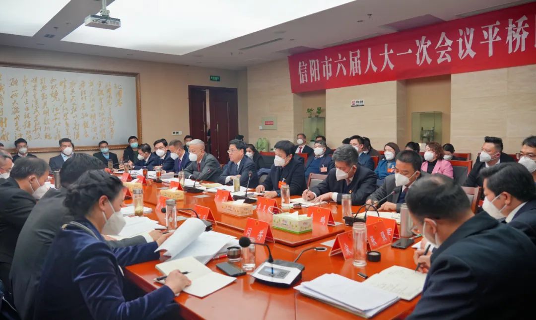 陈志伟参加市六届人大一次会议平桥区、新县代表团审议