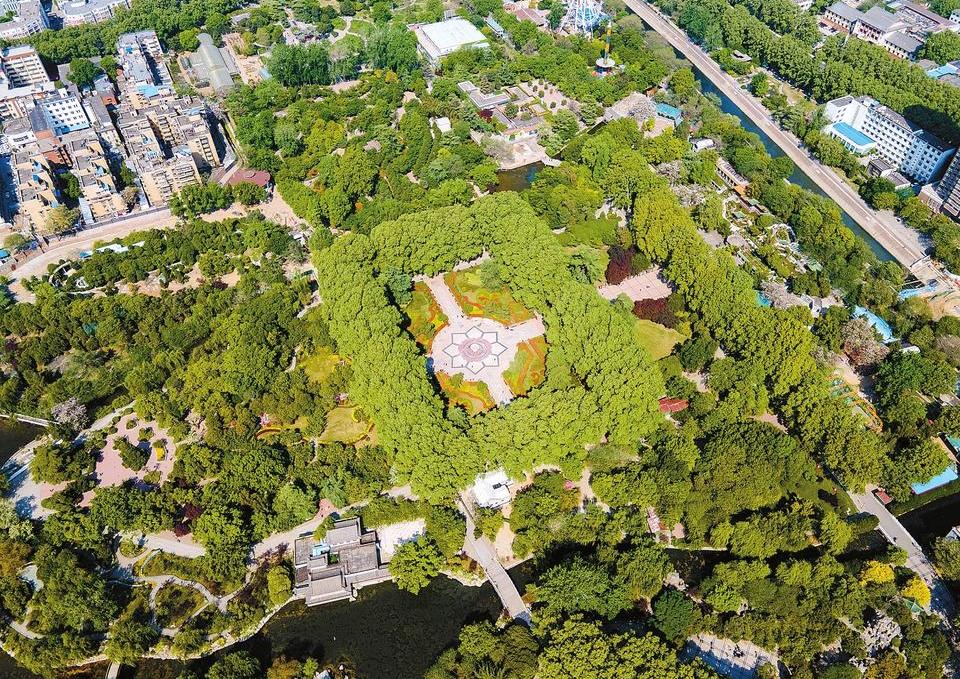 A 'Green' Park in Zhengzhou