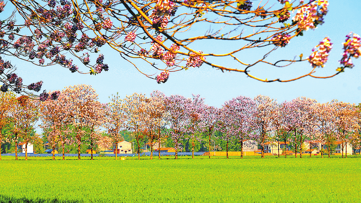 生態(tài)新農村美景