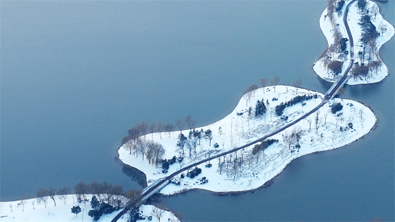 兰考：湿地雪韵美如画