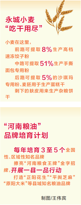 三链同构 擦亮“王牌”<br>
——关注河南省农业高质量发展之三 三链同构 擦亮“王牌”<br>
——关注河南省农业高质量发展之三