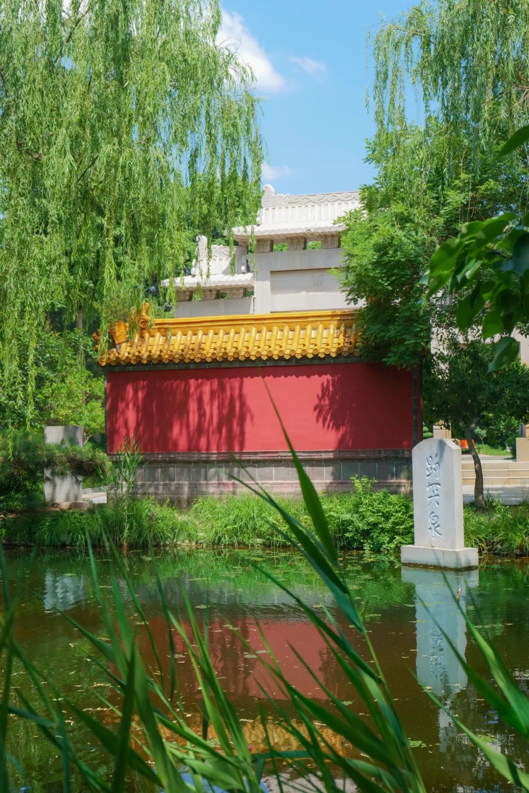行走河南·读懂中国丨感受绿博园夏日的魅力