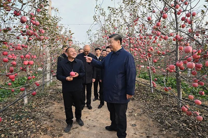 习近平总书记这次考察时的重要讲话在陕西河南文旅业界引发热烈反响