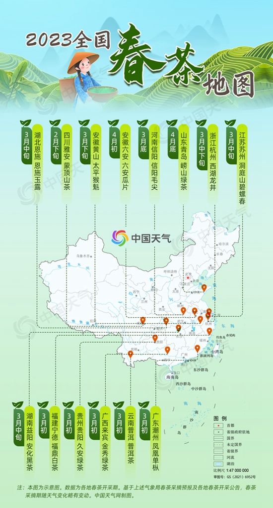 2023全国春茶地图出炉江南多地抢“鲜”开采