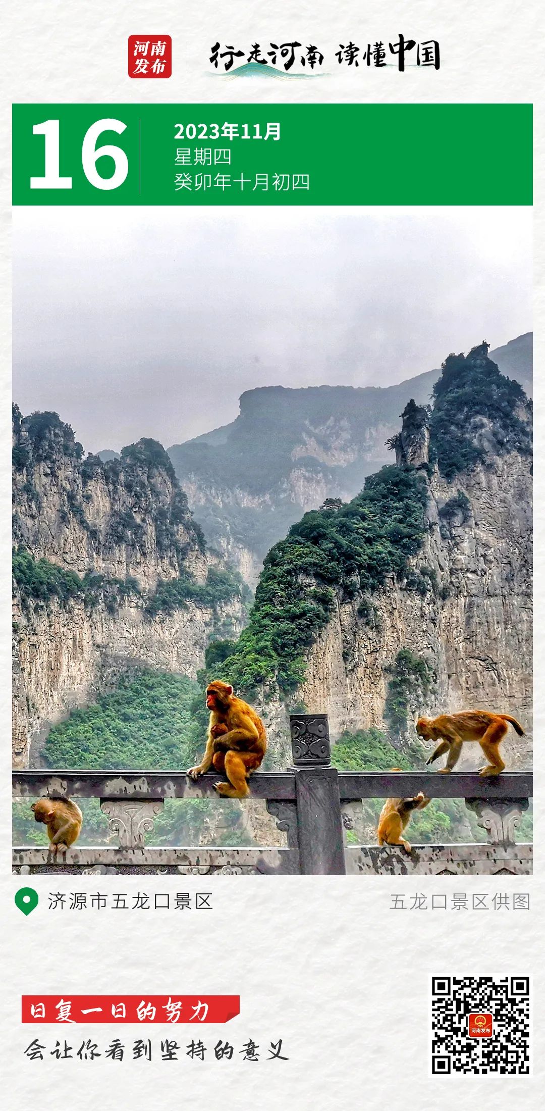 【行走河南•读懂中国】日复一日的努力，会让你看到坚持的意义