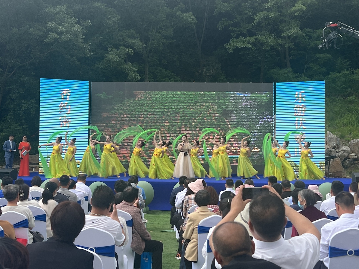 中国新密·伏羲山第四届“密二花”文化节开幕