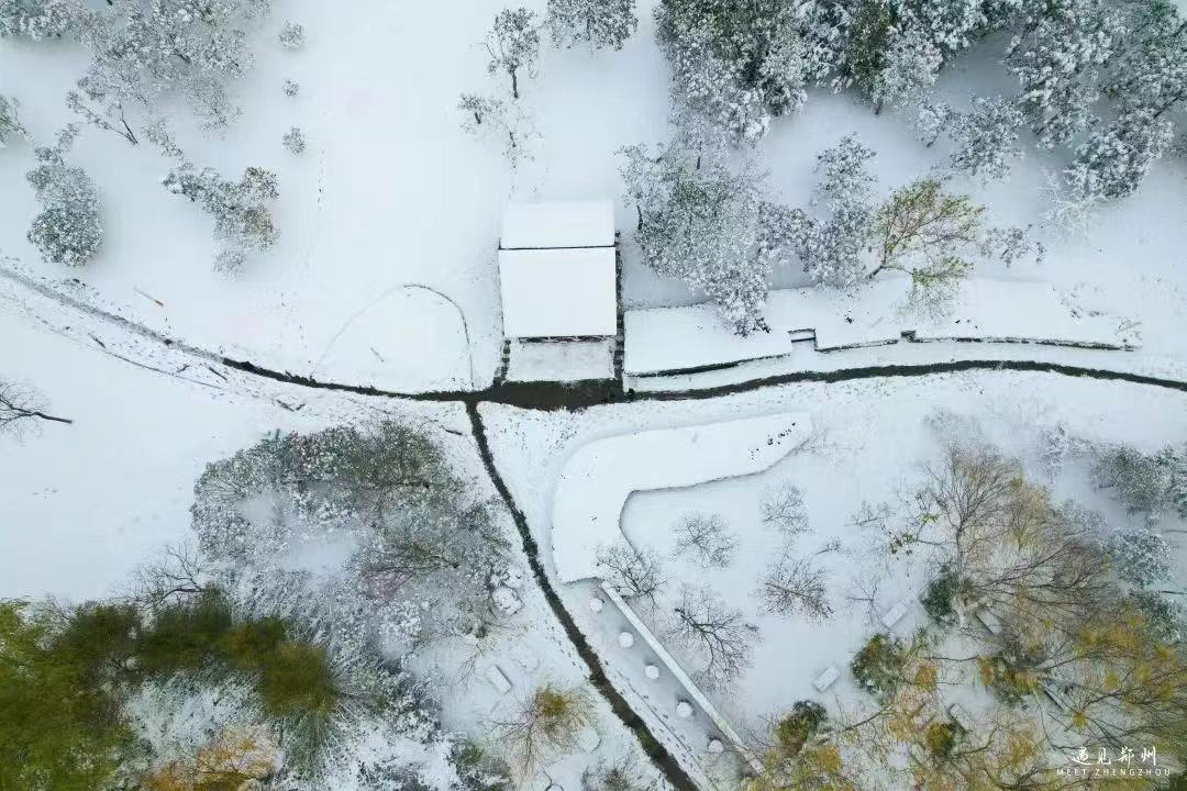 大地披银装，沉浸式体验郑州雪景