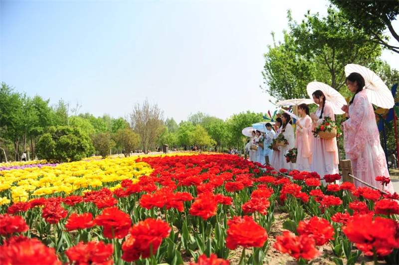 郑州绿博园问花节3月18日盛情启幕