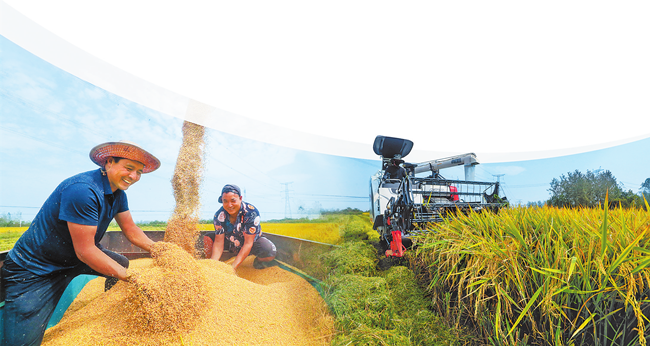“三秋”生产划好三大重点