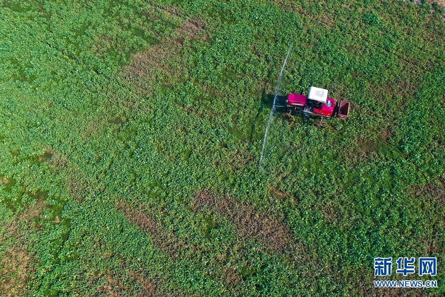 【图片新闻】河南光山：智能化农机设备助力田间管理