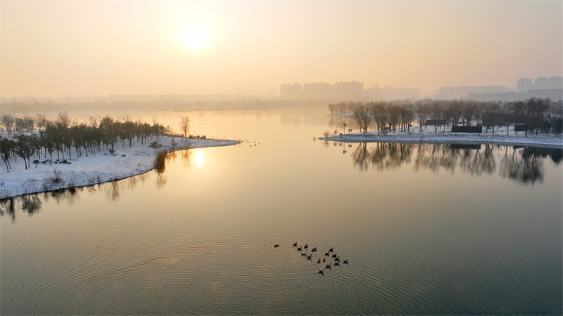 兰考：湿地雪韵美如画