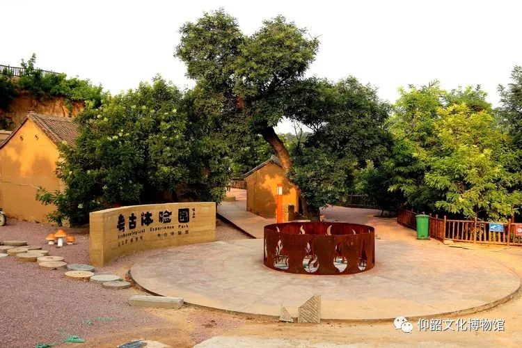 行走河南·读懂中国 | 探访仰韶村国家考古遗址公园