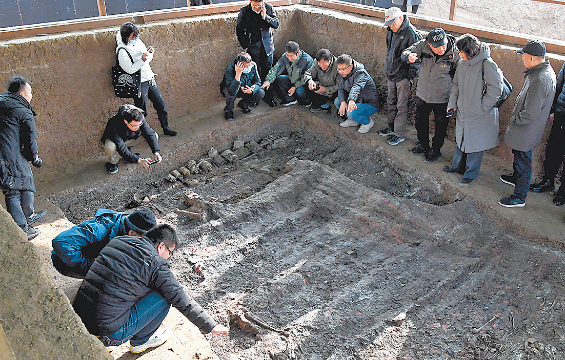 关注2020年度全国十大考古新发现 从徐阳墓地看中原车马坑的“前世今生”