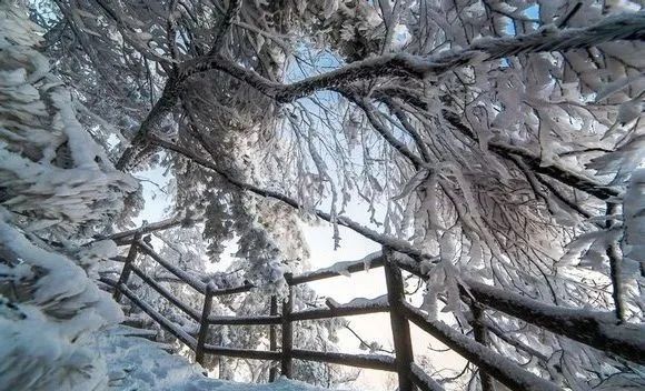 老君山：雪一落就美成了诗