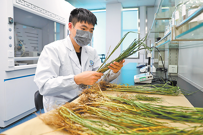 全国第一家老区土壤医院在郑州成立 土壤“生病”了也可送医