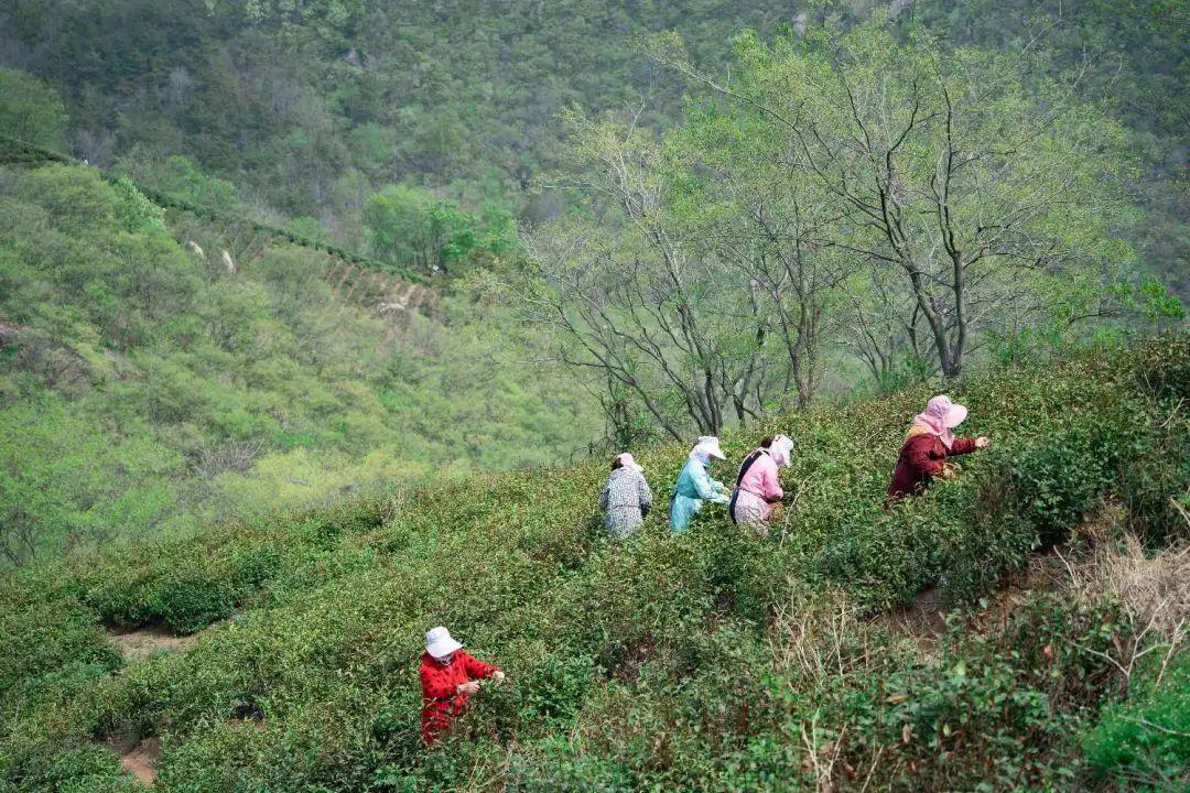 河南文旅博览会,郑州文旅博览会,河南文旅会,郑州文旅会,河南房车露营展,郑州房车露营展,河南户外用品展,郑州户外用品展