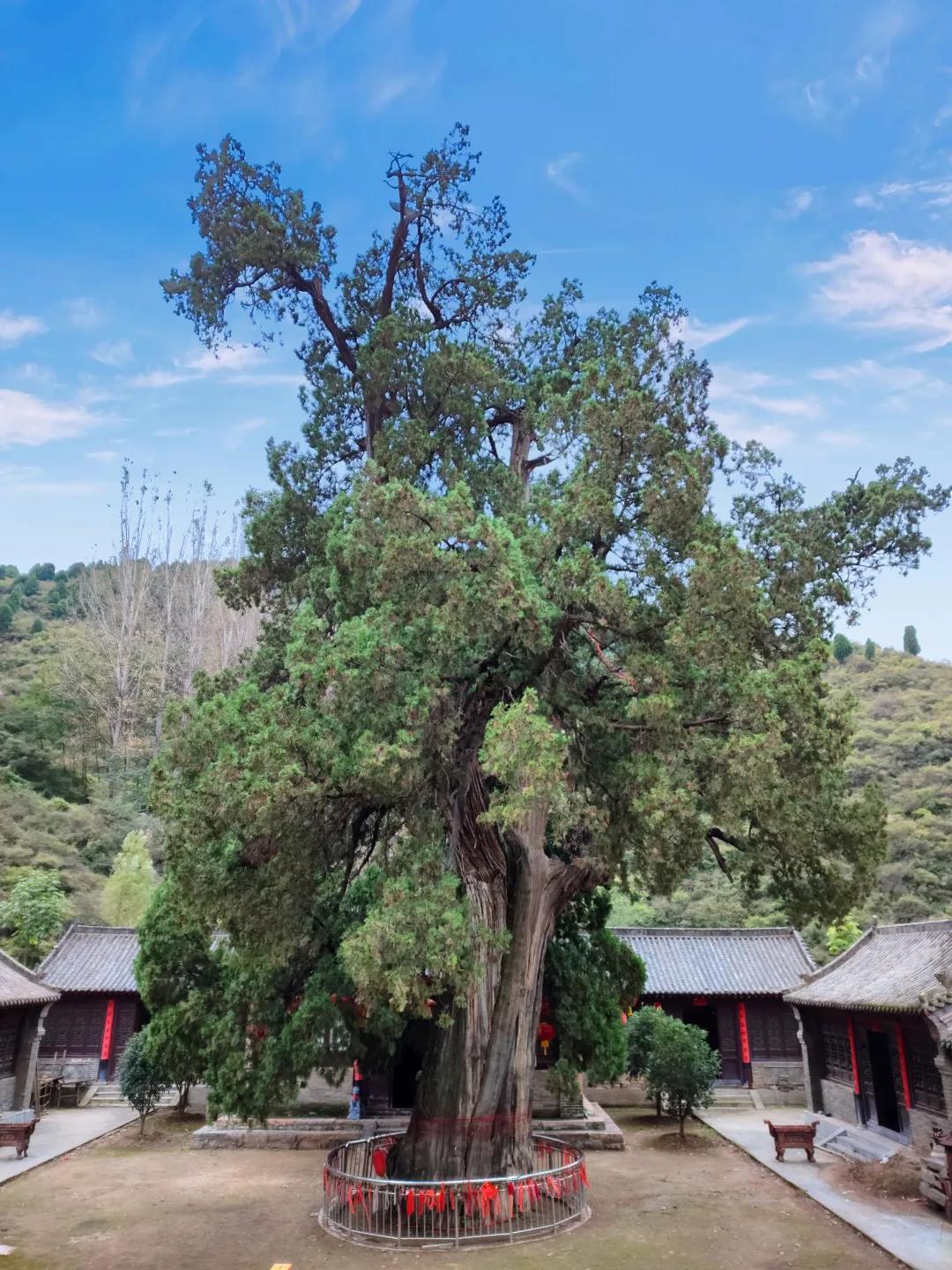 渑池河南庄村旅游图片