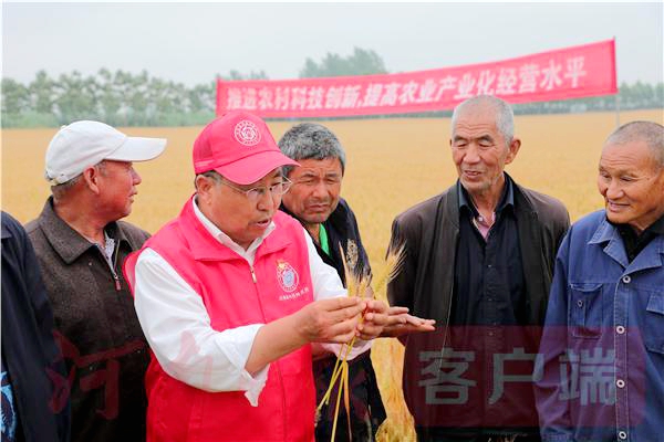 麦浪飘香观“丰”景，背后是210多项种业创新科技项目来支撑