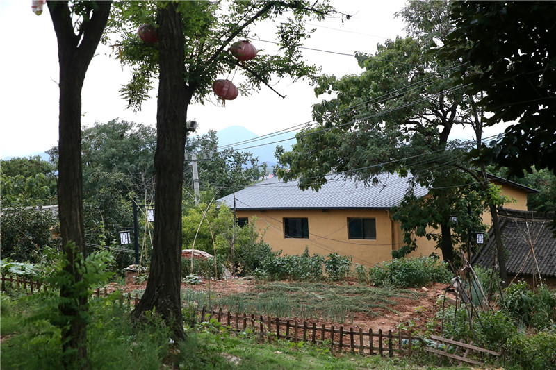 【行走河南·读懂中国】豫西小山村变身网红打卡地