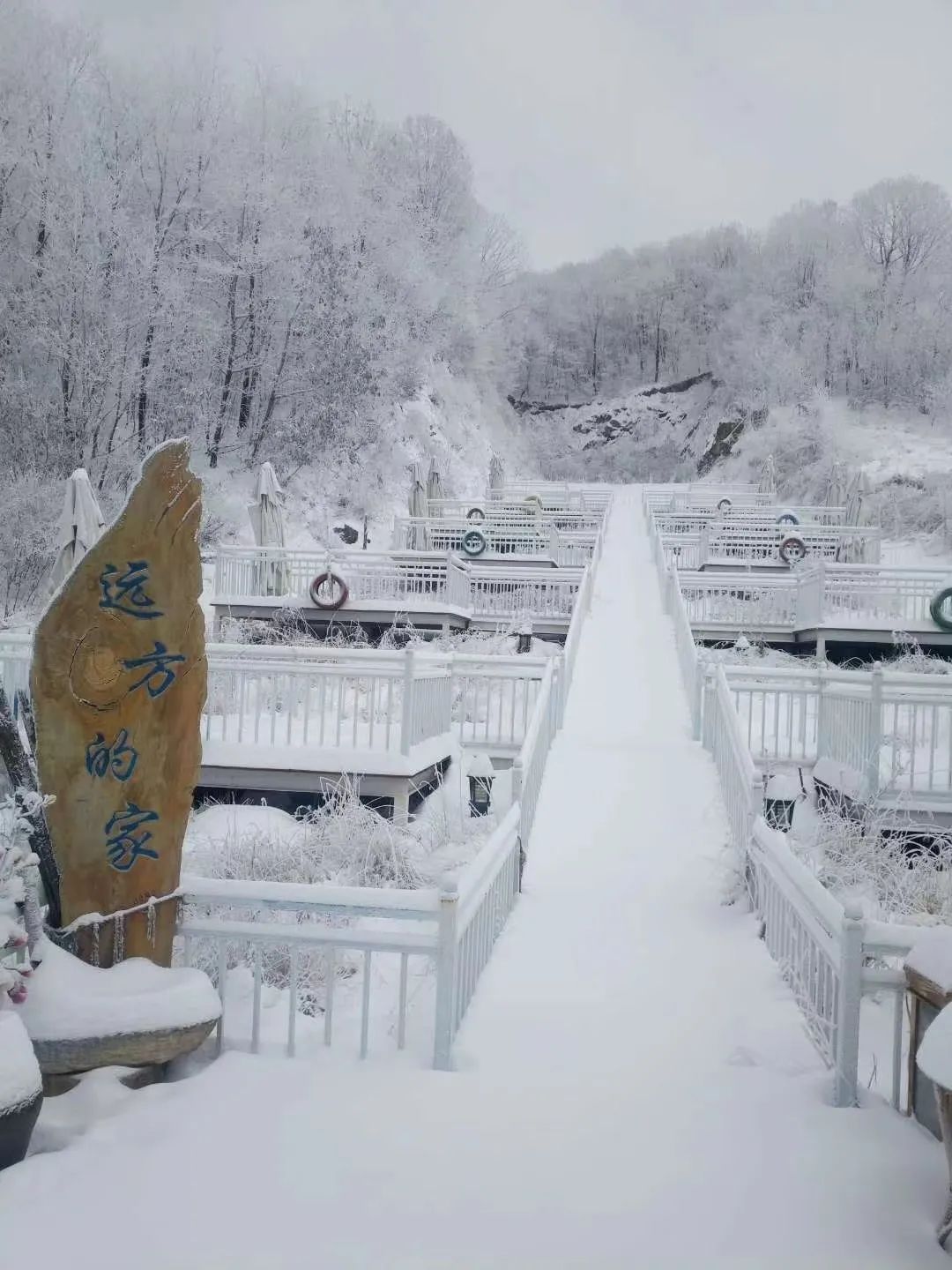 行走河南·读懂中国丨南阳：感受文化魅力 体验滑雪乐趣