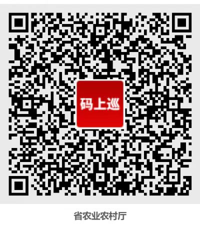 省委第四巡视组巡视省农业农村厅党组（省委农办）工作动员会议召开