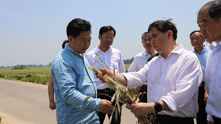 省农业农村厅党组书记宋虎振莅临商丘调研  “三夏”生产工作