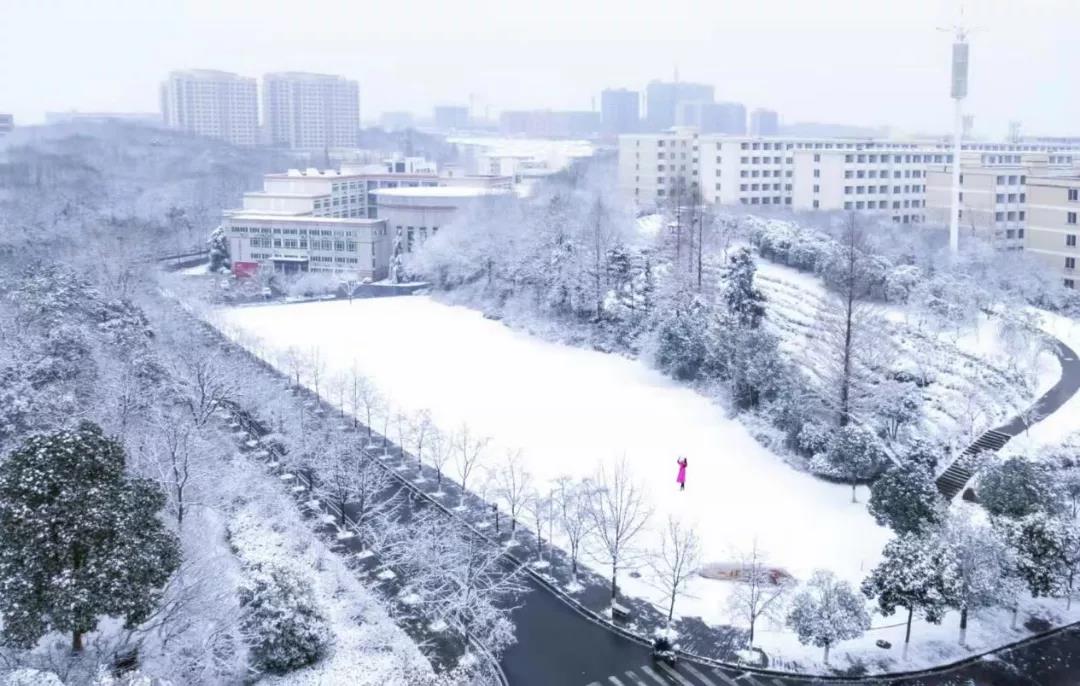 瑞雪兆丰年！你那里下雪了吗？