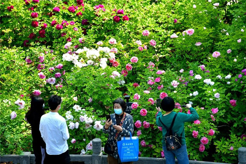 洛阳文旅携手京东物流 助推文旅产业转型升级