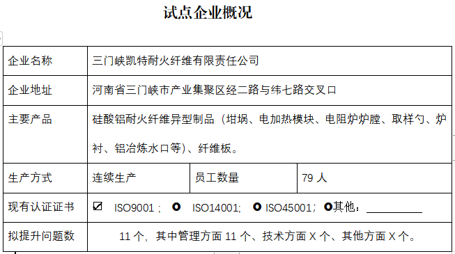 三门峡凯特耐火纤维有限责任公司