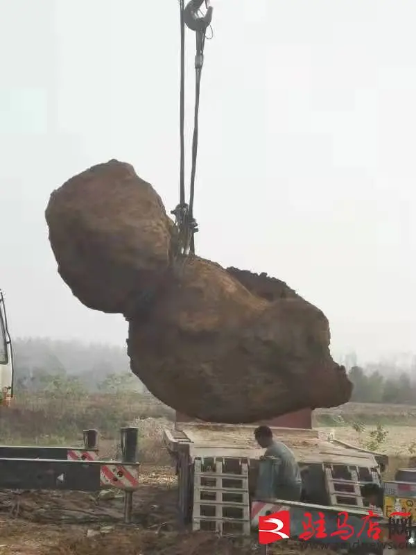 重达50吨！泌阳东高庄冶铁遗址出土文物完成整体搬运