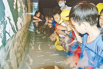 大河村遗址博物馆系列文化活动吸引众多师生