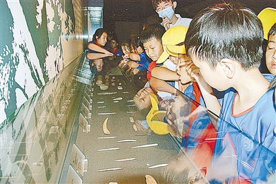 大河村遺址博物館系列文化活動吸引眾多師生