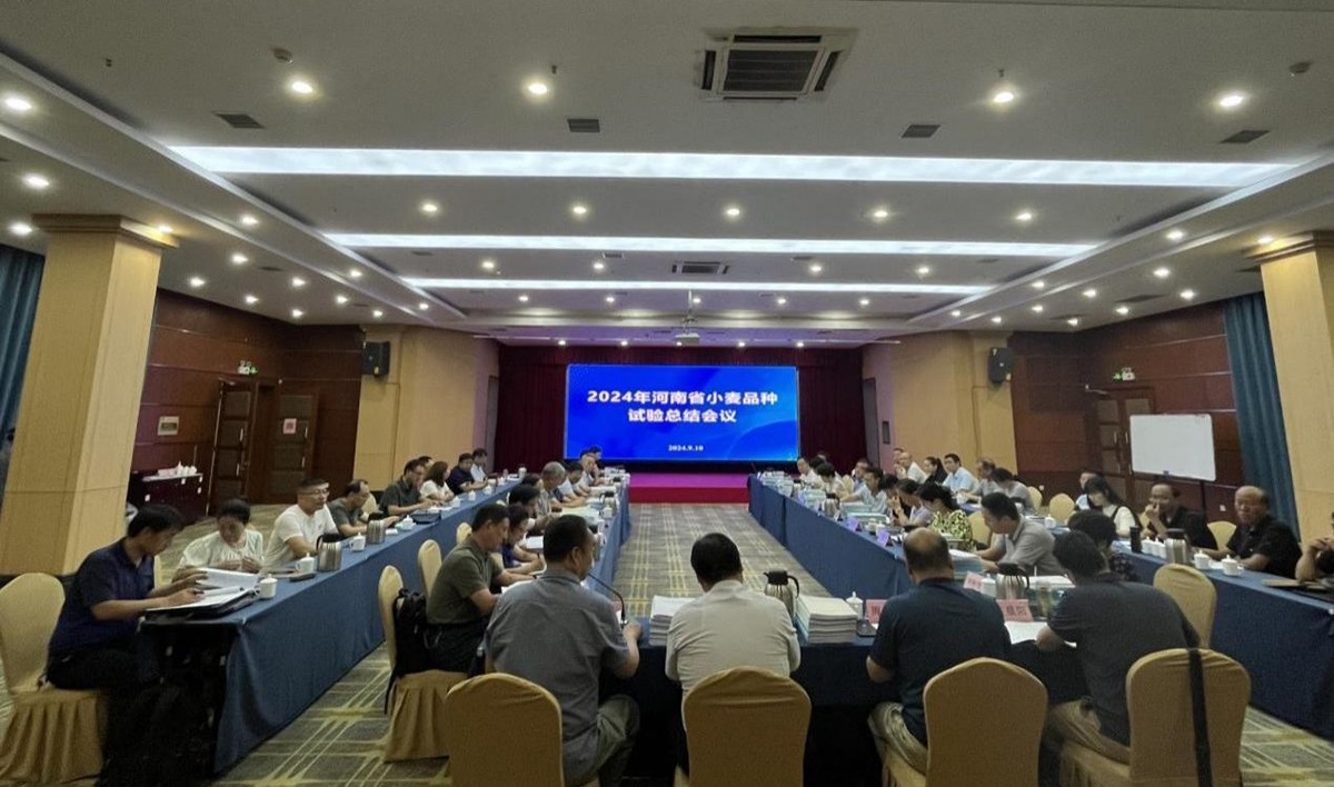 河南省種業發展中心召開  2023—2024年度小麥品種試驗總結會議