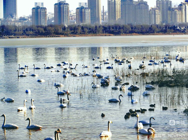 奇特的黄土高原“窑洞地坑院”民居