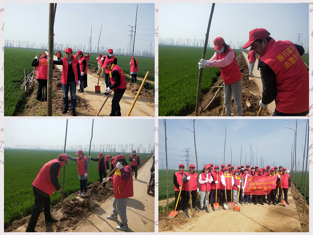 河南省沙颍河流域管理局积极参加义务植树活动