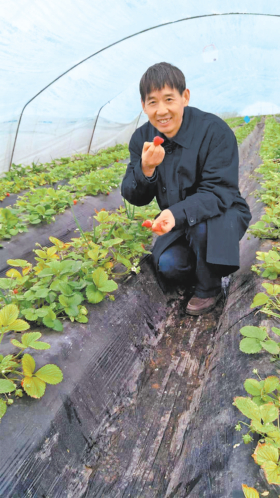 实验室成果何以成发展“金钥匙”（河南科技发力了） ——“科技经济融合发展的河南探索”之二