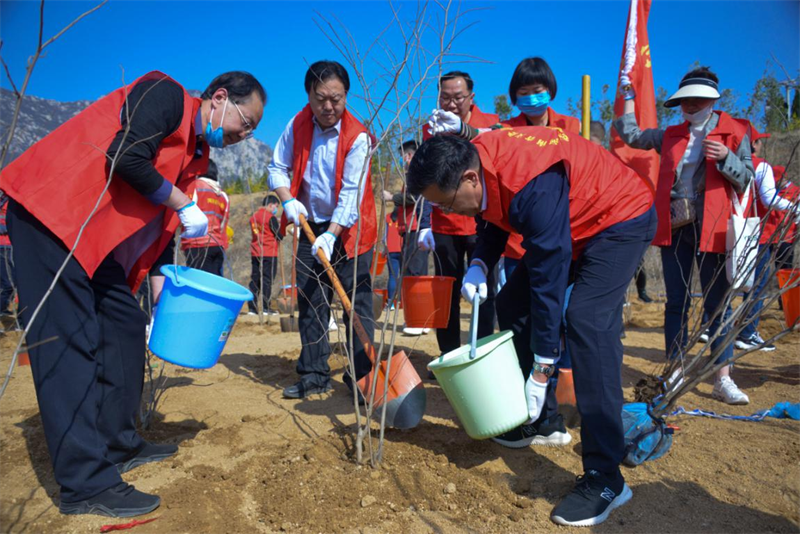 省文化和旅游厅开展“植树造林 绿化祖国”志愿服务活动