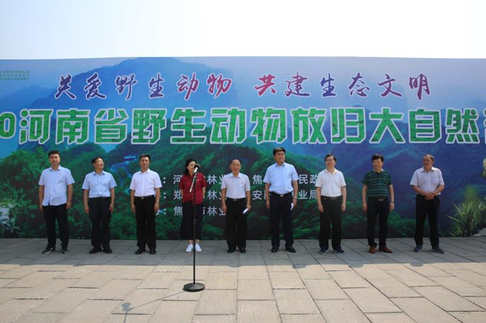 图/文：我省最大规模野生动物放归活动在焦作举办
