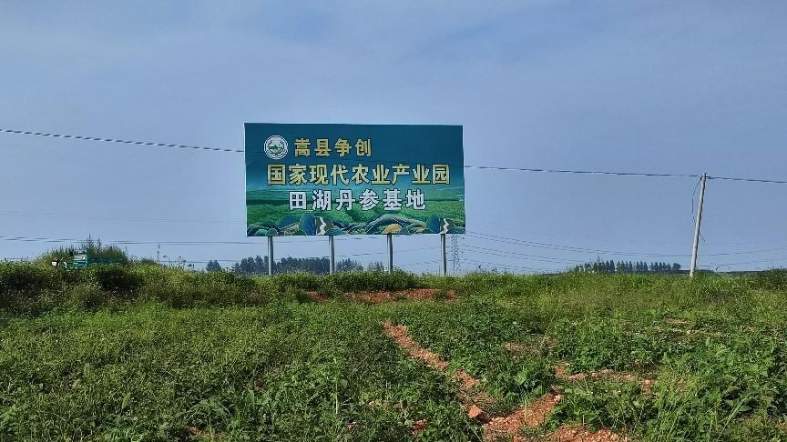 乡村建设评价 ▎河南嵩县：乡村“蝶变” ，绘就振兴新图景
