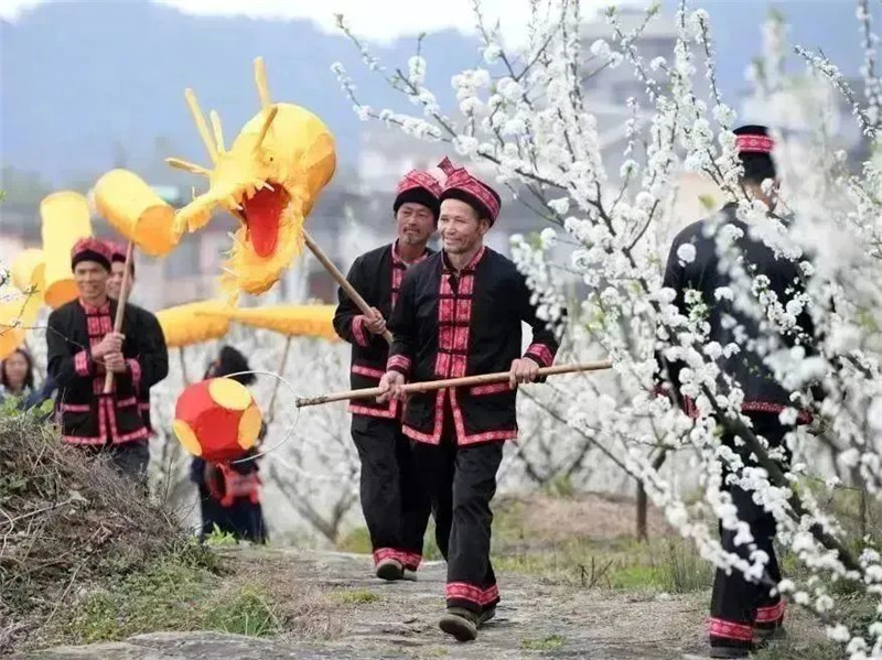 赴一场春天的约会 “向花而行”正当时