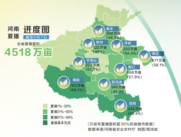 全力以赴战“三夏”丨抢收种子田