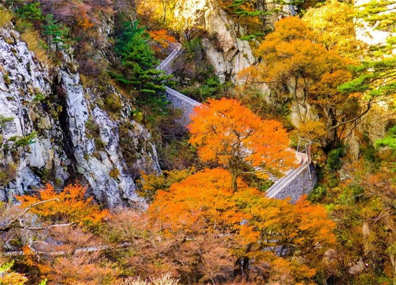 【行走河南·读懂中国】神话仙境 秋韵尧山