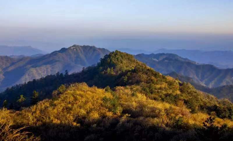 玉皇山国家森林公园斑斓秋景如梦似幻