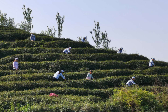 易地扶贫搬迁后续扶持系列经验做法之五