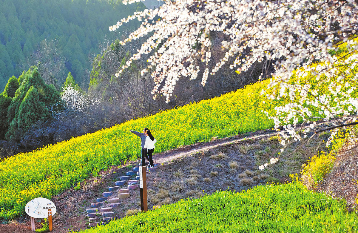 Picturesque Spring Scene in Luoning