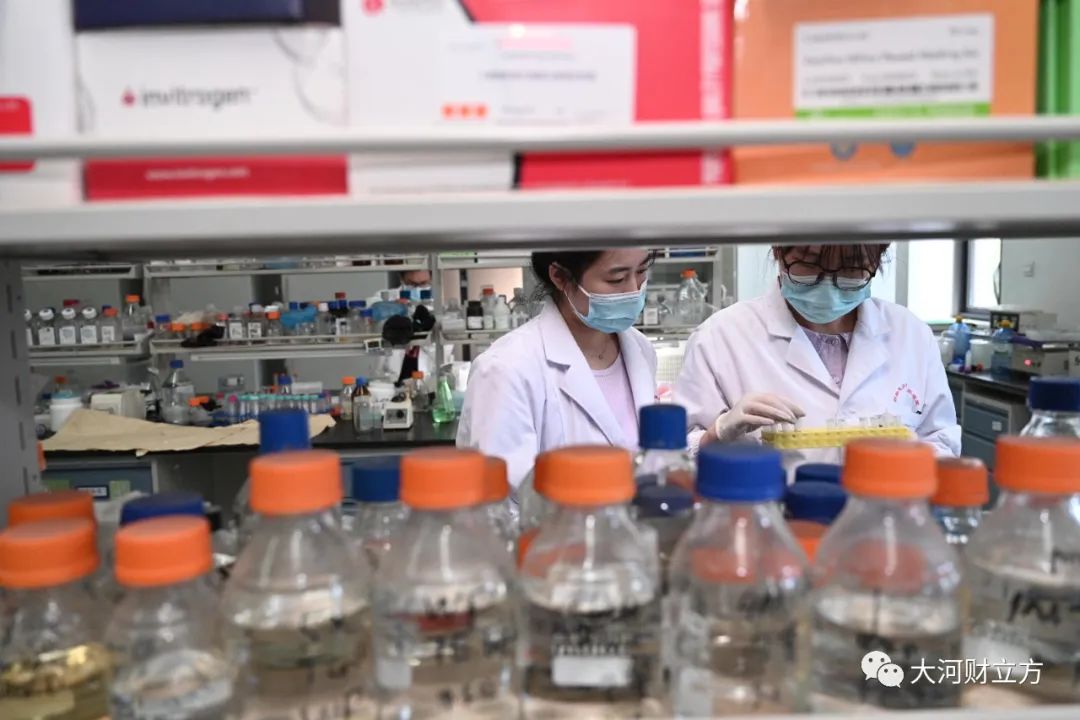 生物经济 豫见未来⑧ | 中国工程院院士张改平：河南正在迎来生物经济发展的最好时期