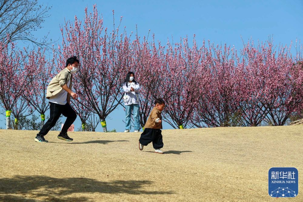 行走河南·读懂中国丨春意浓浓 我省各地花期如约而至